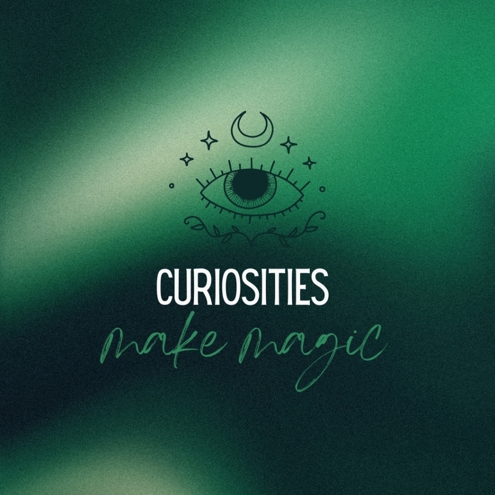 🪄💫Unlisted Curiosities - Hogwarts Edition - NO Cancelations